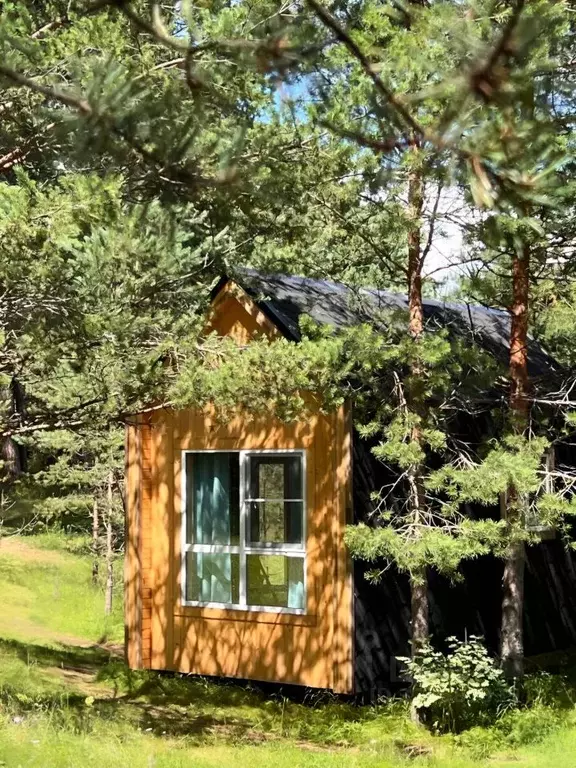Дом в Тверская область, Кимрский муниципальный округ, д. Топорок  (20 ... - Фото 1