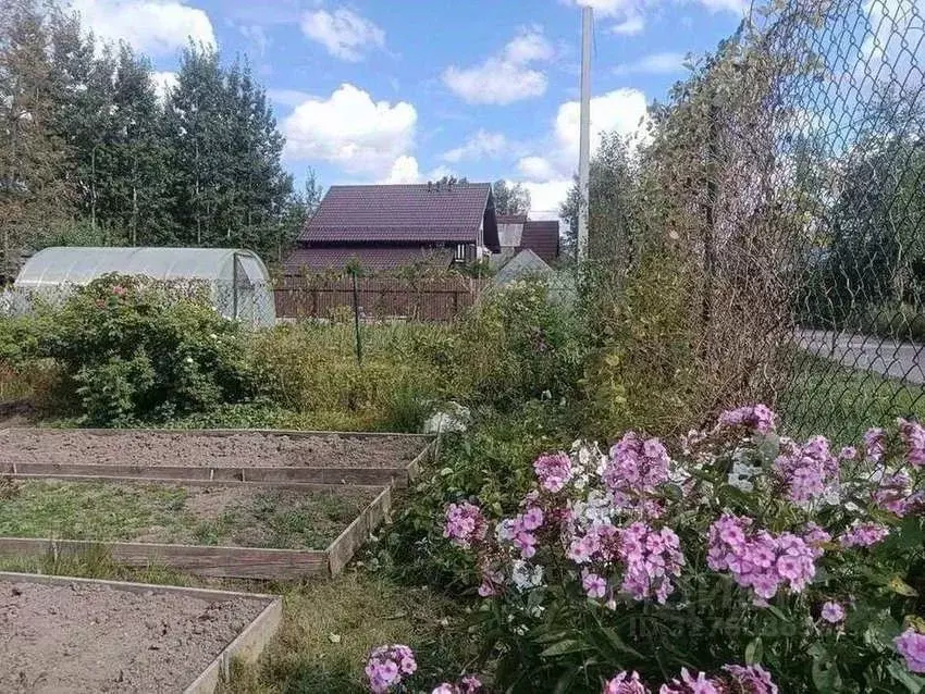 Участок в Ленинградская область, Ломоносовский район, Ропшинское ... - Фото 1