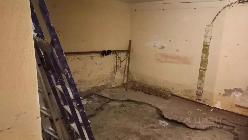 Помещение свободного назначения в Брянская область, Брянск просп. ... - Фото 2