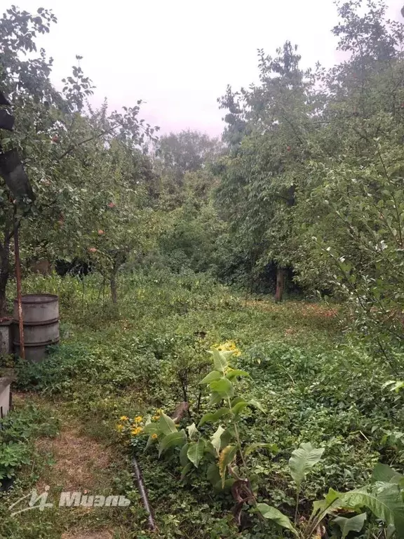 Участок в Московская область, Люберцы городской округ, Томилино пгт ... - Фото 0