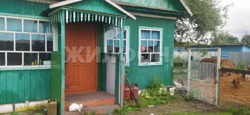 Дом в Новосибирская область, Коченевский район, с. Федосиха ул. Ишим ... - Фото 1