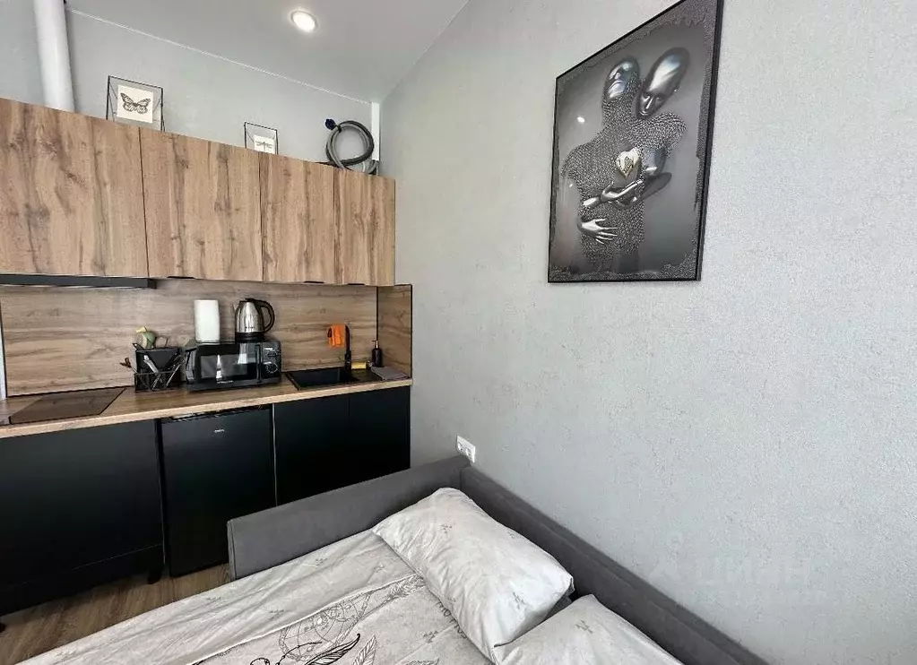 Студия Москва ул. Николая Озерова, 8к1 (18.0 м) - Фото 2