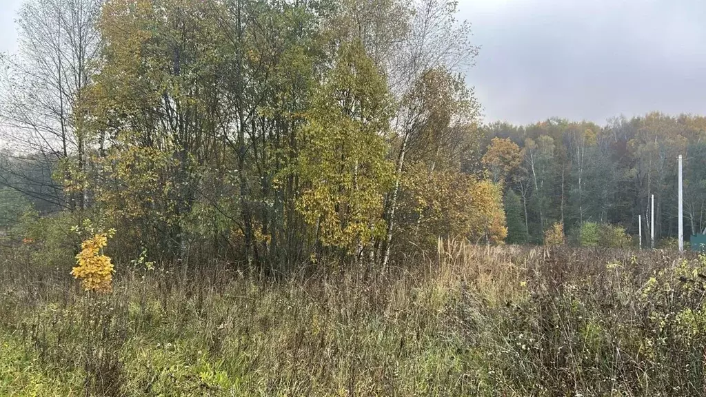 Участок в Московская область, Ступино городской округ, д. Шматово  ... - Фото 1