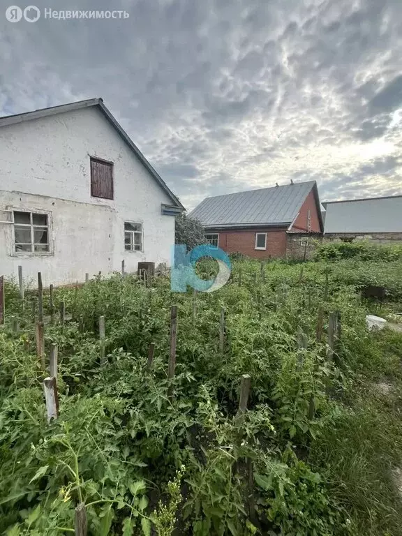 Дом в Октябрьский, Луговая улица, 4 (47.1 м) - Фото 2
