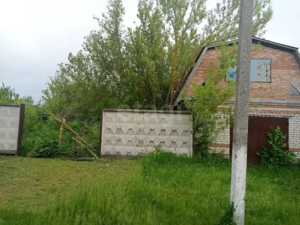 Участок в Белгородская область, Волоконовский район, с. Староивановка ... - Фото 1