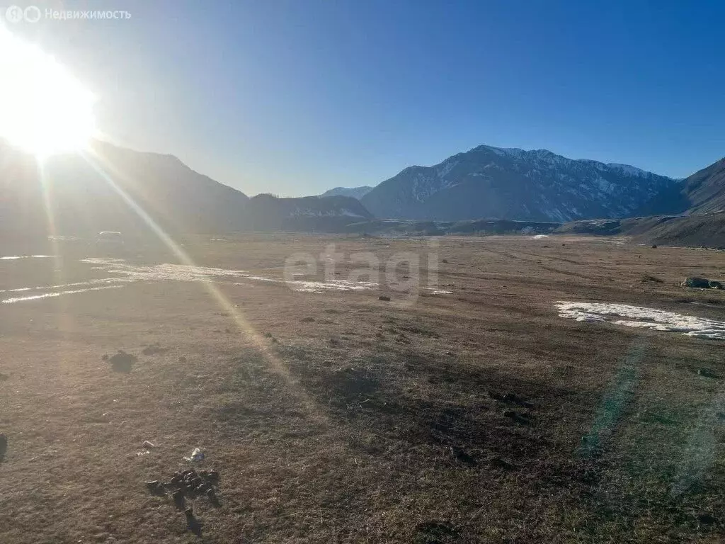 Участок в Улаганский район, село Чибит (12 м) - Фото 1