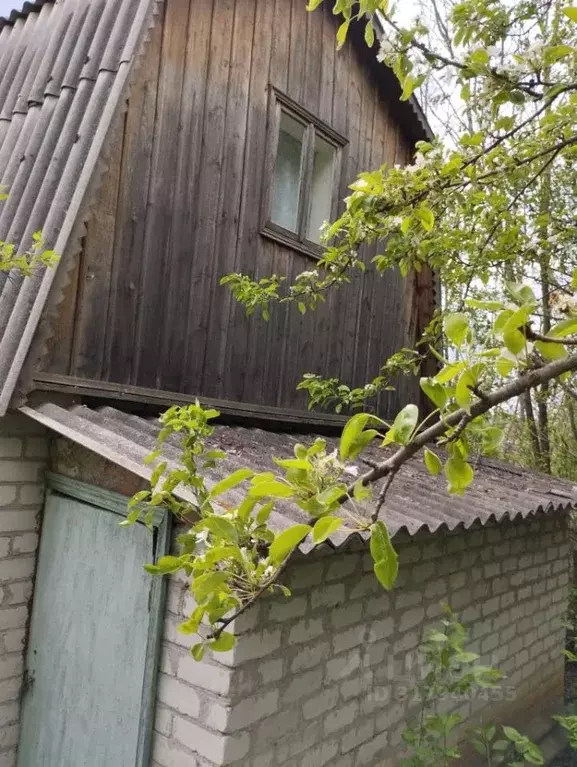 Дом в Белгородская область, Белгородский район, Никольское с/пос, с. ... - Фото 1