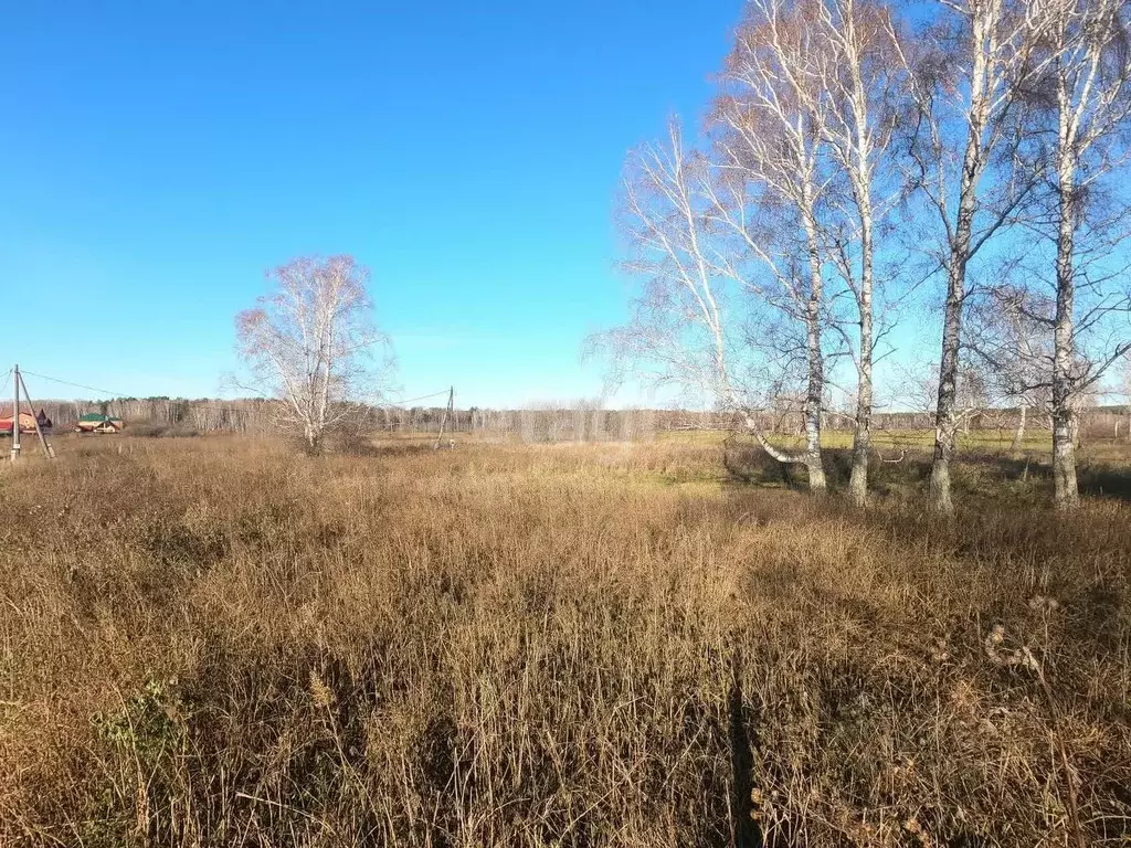 Участок в Томская область, Томский район, с. Курлек  (10.0 сот.) - Фото 0