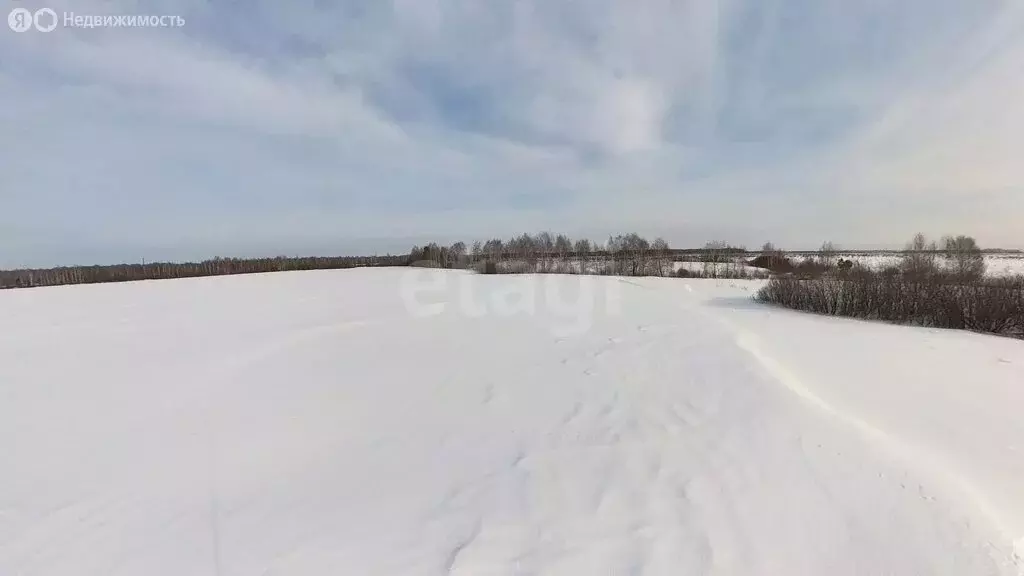 Участок в Тюменский район, деревня Елань (9.3 м) - Фото 0