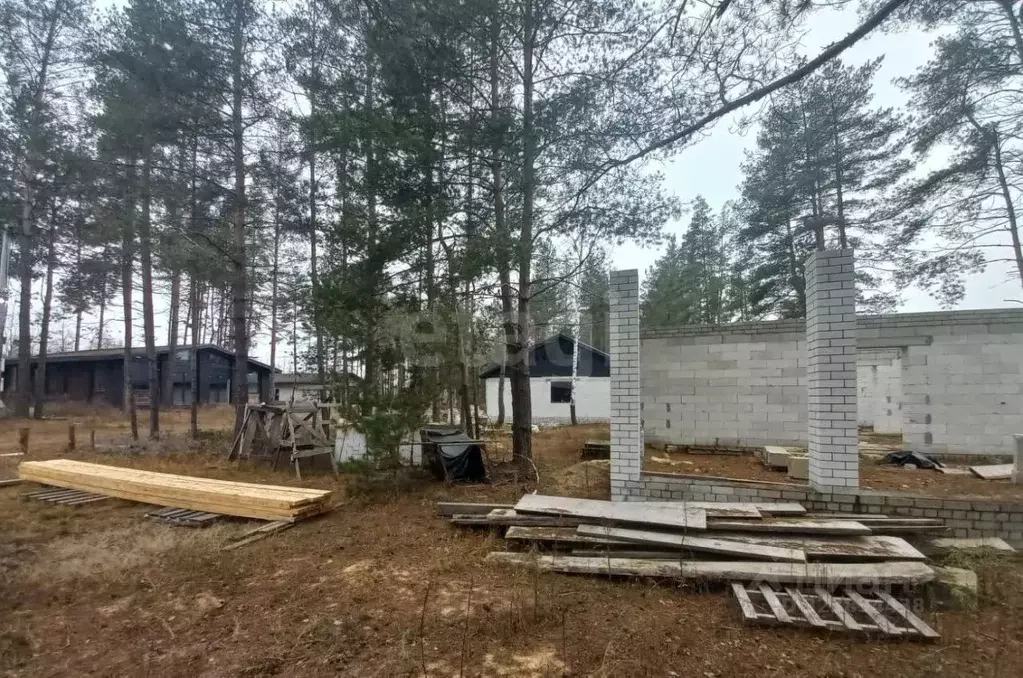 Участок в Воронежская область, Рамонский район, Новоживотинновское ... - Фото 1