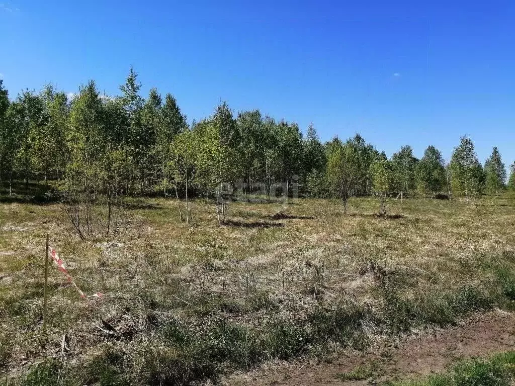 Участок в Томская область, Томский район, с. Корнилово ул. Жданова ... - Фото 1