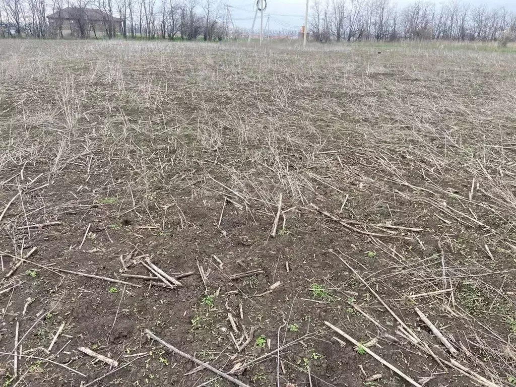 Участок в Ростовская область, Мясниковский район, с. Большие Салы ул. ... - Фото 1