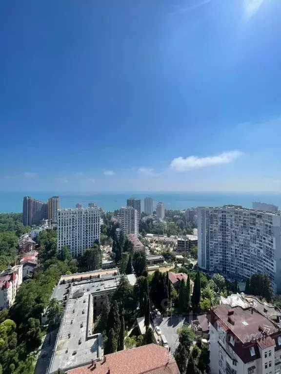 1-к кв. Краснодарский край, Сочи Светлана мкр, ул. Депутатская, 10Б/1 ... - Фото 1