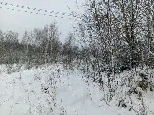 Участок в Московская область, Чехов муниципальный округ, д. Голыгино  ... - Фото 1