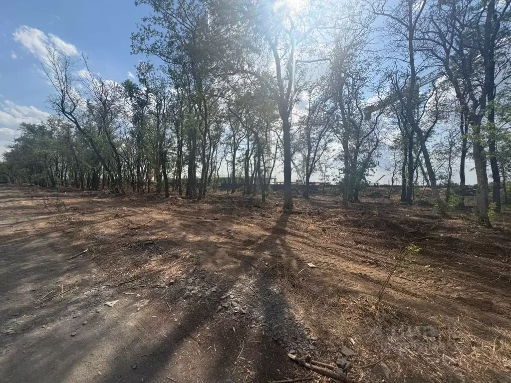 Участок в Ростовская область, Аксай Надежда-Ива садоводческое ... - Фото 1