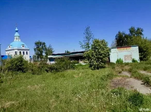 Помещение свободного назначения в Московская область, Кашира городской ... - Фото 2