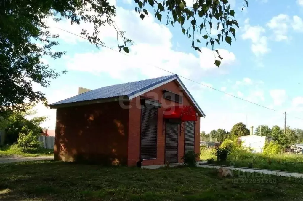 Торговая площадь в Нижегородская область, с. Починки ул. Заречная, 24 ... - Фото 1