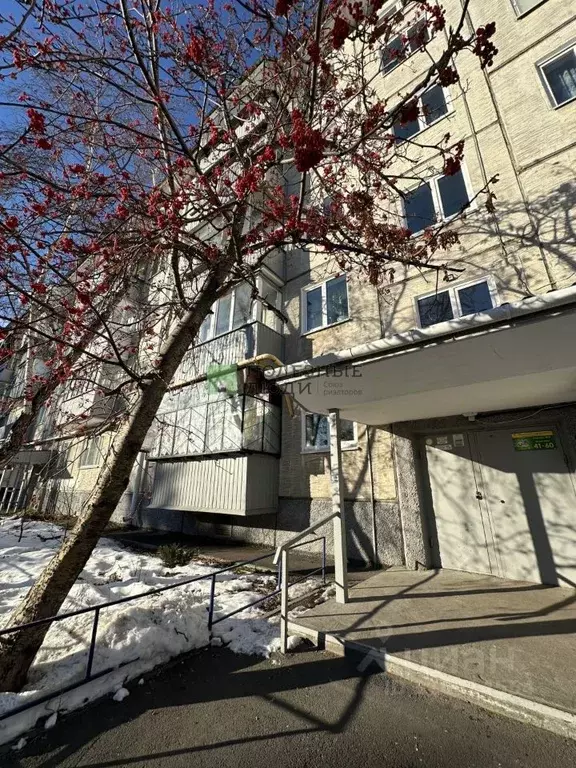 1-к кв. Курганская область, Курган ул. Гоголя, 88 (32.1 м) - Фото 1