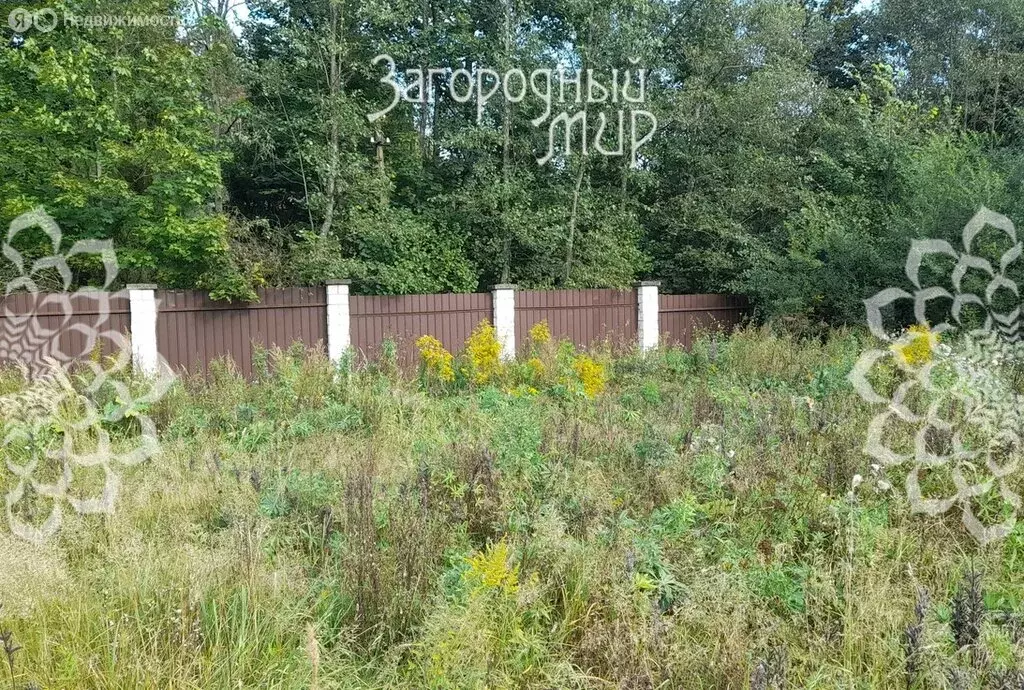Участок в Московская область, городской округ Пушкинский, деревня ... - Фото 2