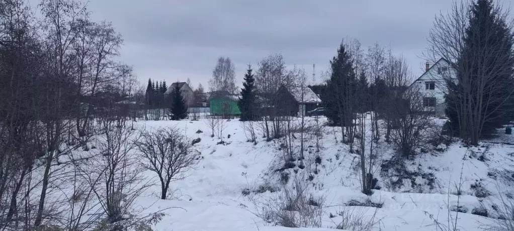 Участок в Московская область, Солнечногорск городской округ, д. ... - Фото 1