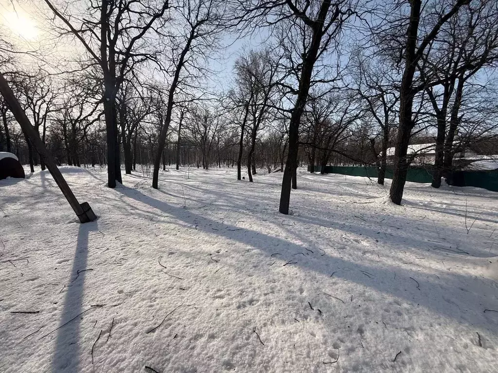 Участок в Саратовская область, пос. Рейник ул. Лесная (11.0 сот.) - Фото 1