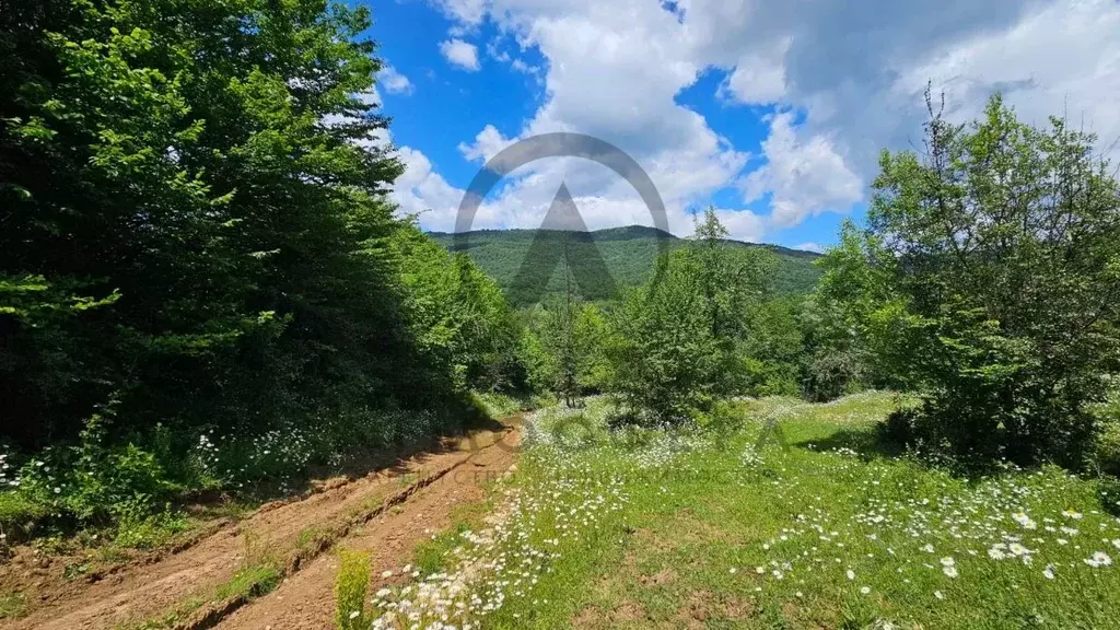 Участок в Краснодарский край, Апшеронский район, Мезмайское с/пос, ... - Фото 1