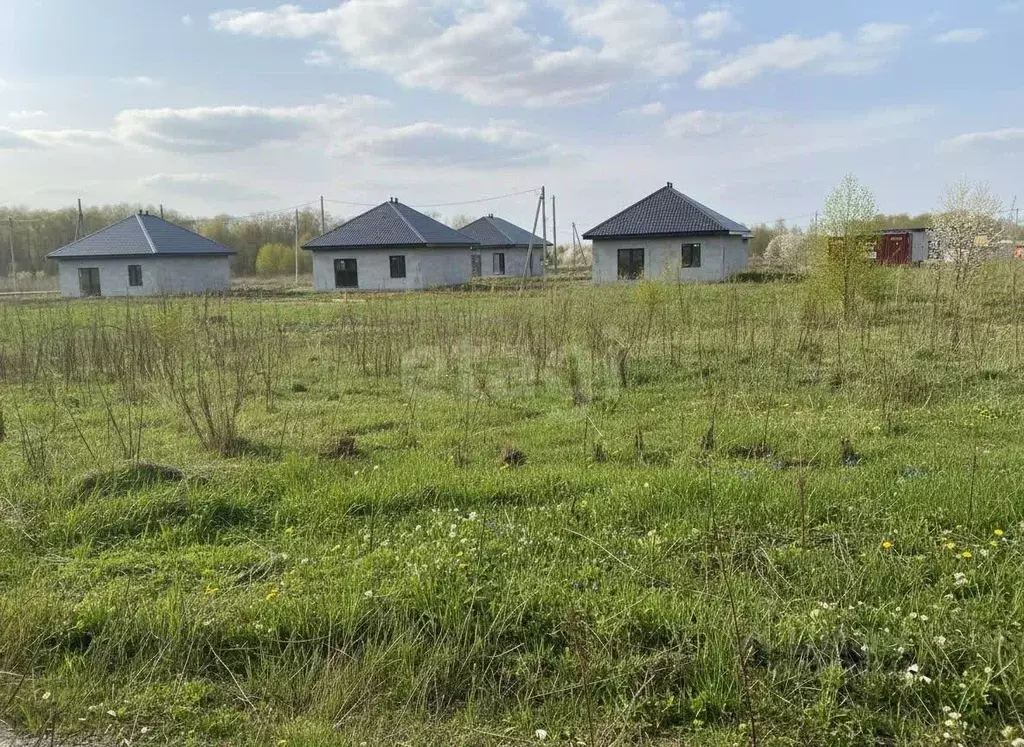 Участок в Пермский край, Пермский муниципальный округ, Мокино-3 кп  ... - Фото 2