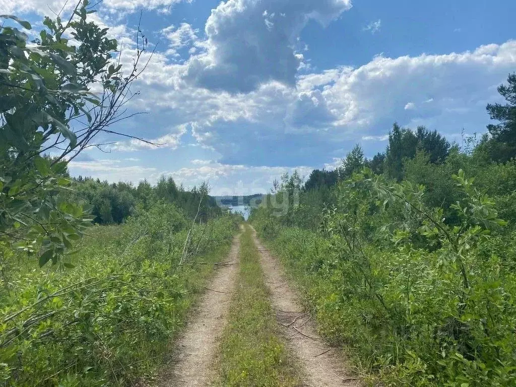 Участок в Вологодская область, Кириллов ул. Гагарина (390.0 сот.) - Фото 0