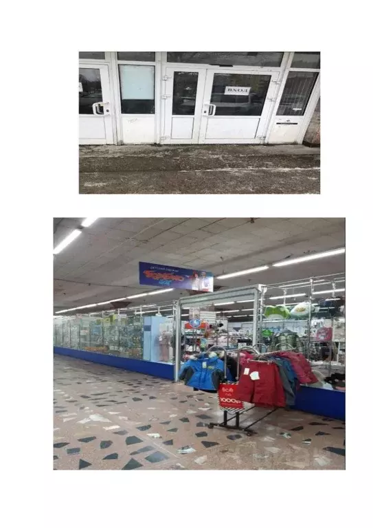 Помещение свободного назначения в Новосибирская область, Новосибирский ... - Фото 0