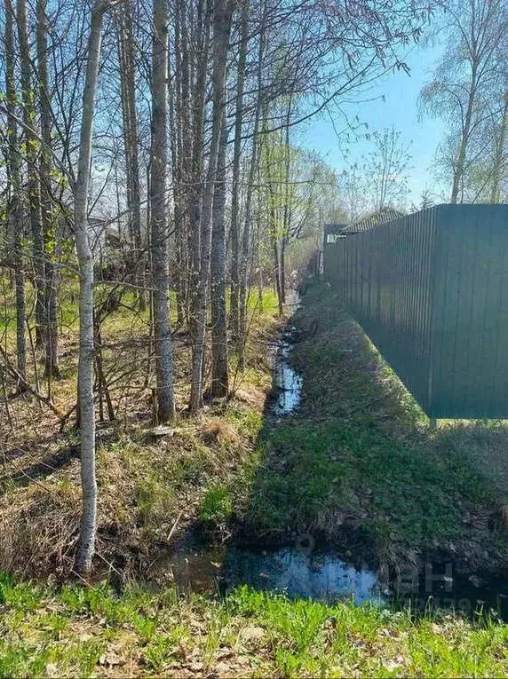 Участок в Новгородская область, Новгородский район, Ермолинское с/пос, ... - Фото 1