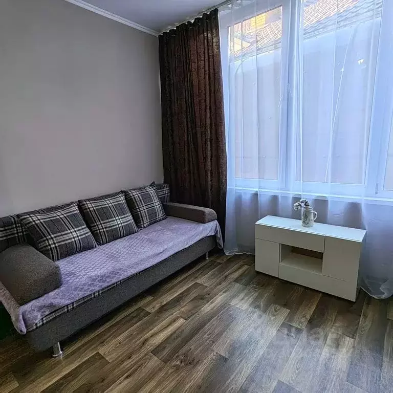 Студия Краснодарский край, Сочи ул. Удачи, 6 (23.0 м) - Фото 1