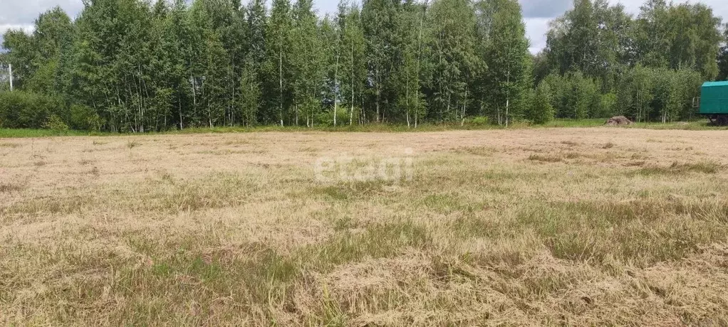 Участок в Тюменская область, Тюмень Зеленый Бор ДНТСН, ул. Крымская ... - Фото 1