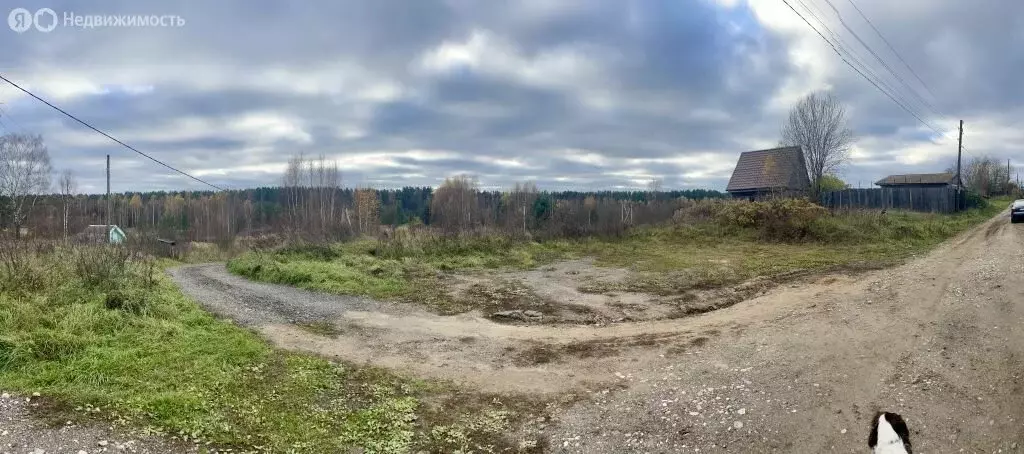 Участок в Тверская область, Торжокский муниципальный округ, деревня ... - Фото 1