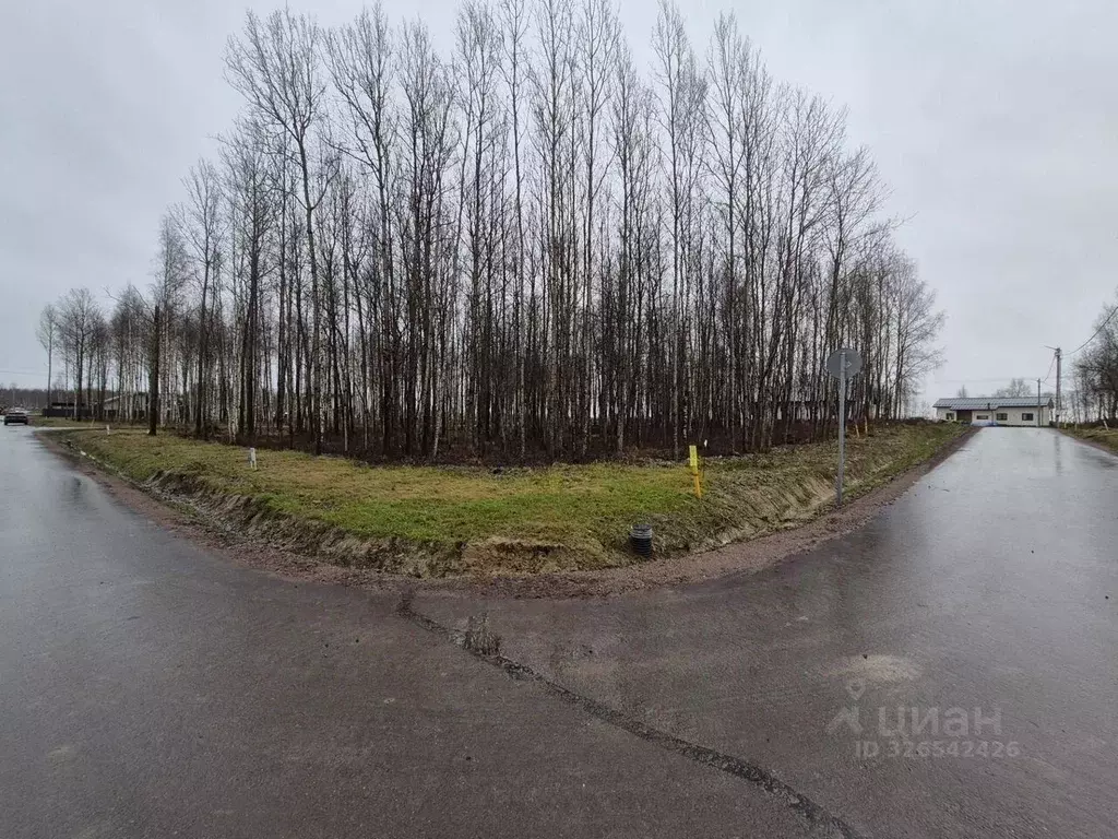 Участок в Санкт-Петербург, Санкт-Петербург, Павловск  (5.0 сот.) - Фото 2