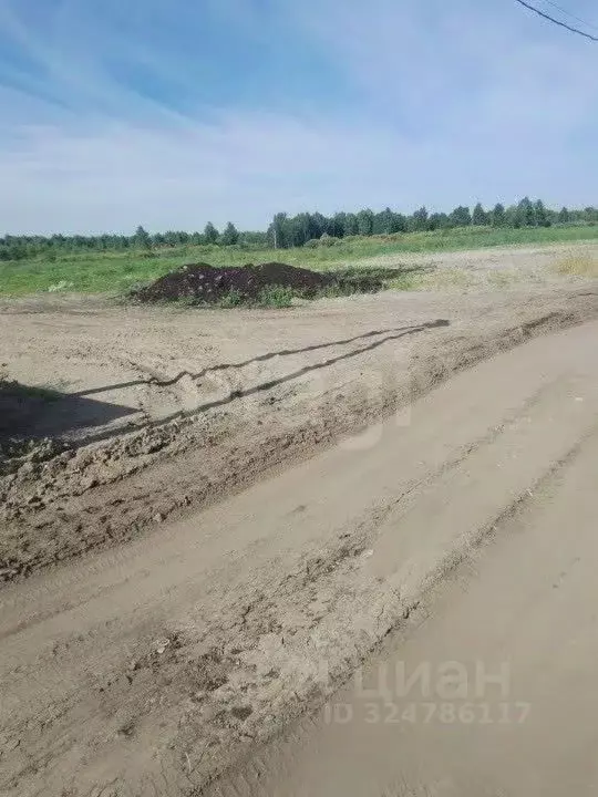 Участок в Тюменская область, Нижнетавдинский муниципальный округ, ... - Фото 1