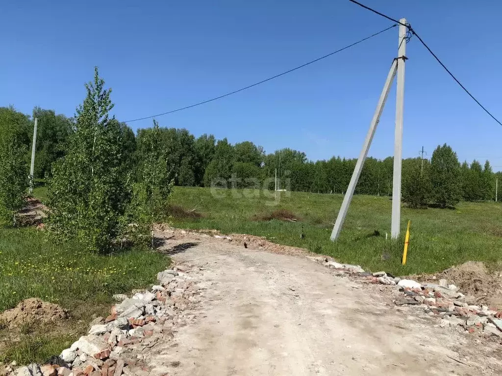 Участок в Новосибирская область, Новосибирский район, Станционный ... - Фото 0