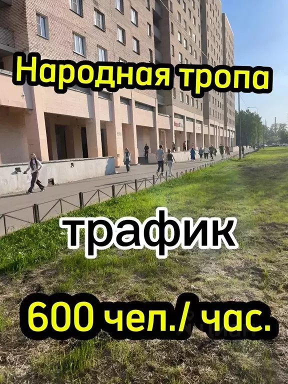 Помещение свободного назначения в Санкт-Петербург Богатырский просп., ... - Фото 1
