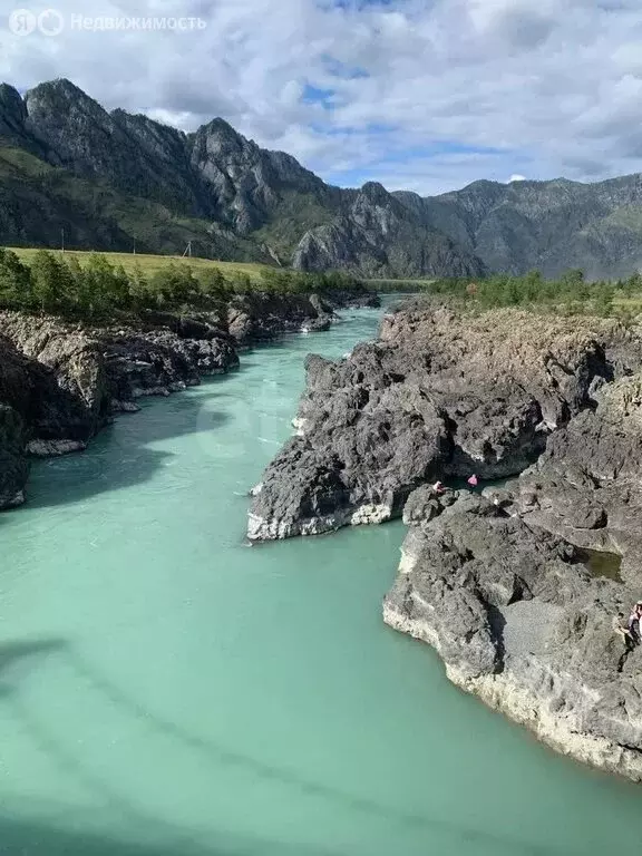 Участок в Шебалинский район, село Каспа (1760 м) - Фото 1