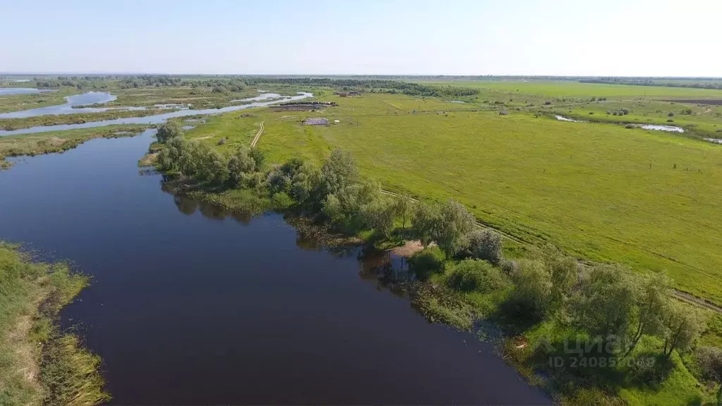 Участок в Саратовская область, Энгельсский район, Красноярское ... - Фото 2
