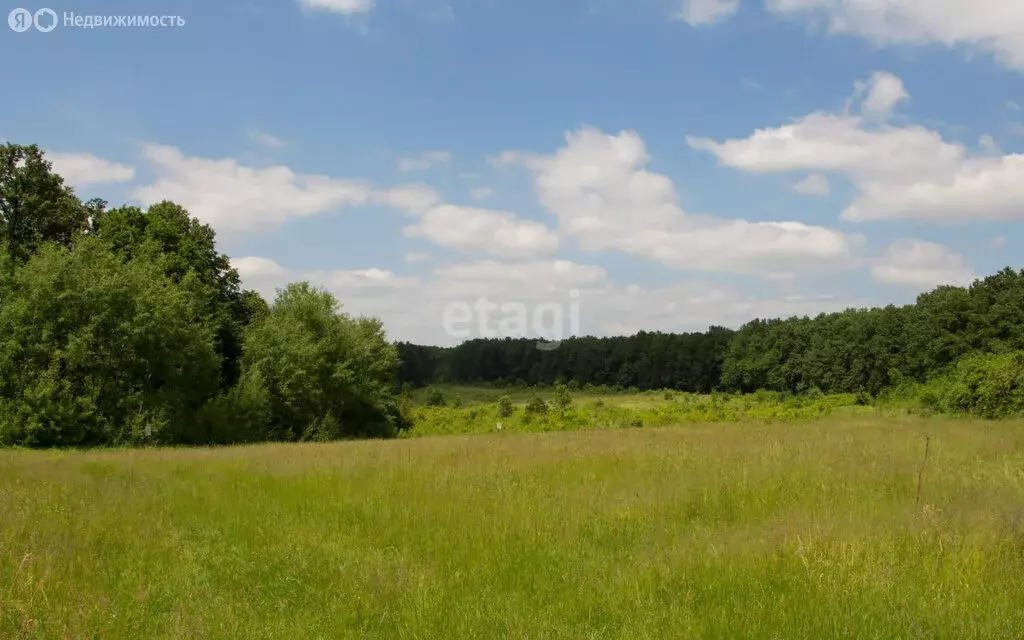 Участок в Нижнетавдинский район, село Девятково (12.7 м) - Фото 1