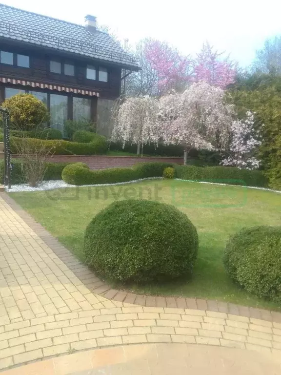 Дом в Калининградская область, Гурьевский муниципальный округ, пос. ... - Фото 2