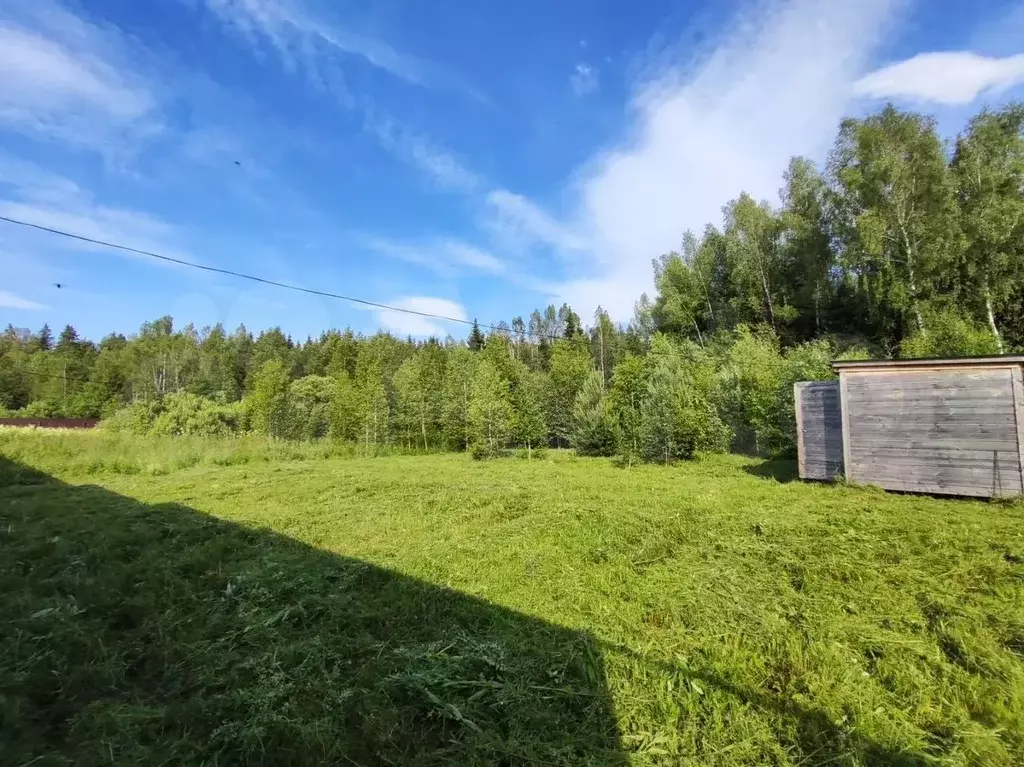 Участок 11,3 сот. (СНТ, ДНП) - Фото 1