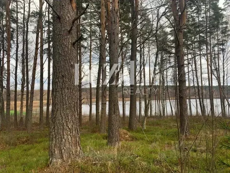 Участок в Ленинградская область, Приозерский район, Громовское с/пос, ... - Фото 0