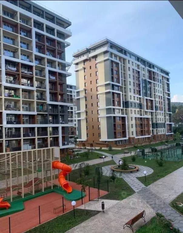 Студия Краснодарский край, Сочи городской округ, Дагомыс пгт ул. ... - Фото 0