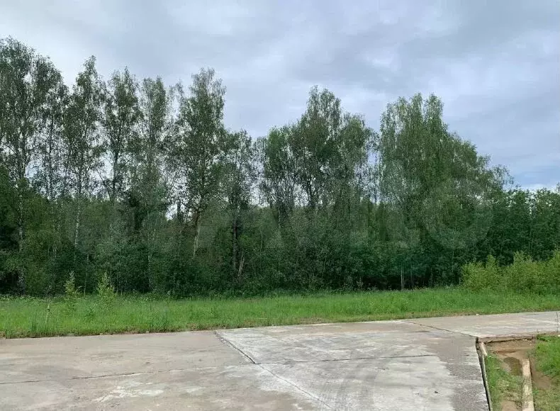 Участок 9,7 сот. (ИЖС) - Фото 0