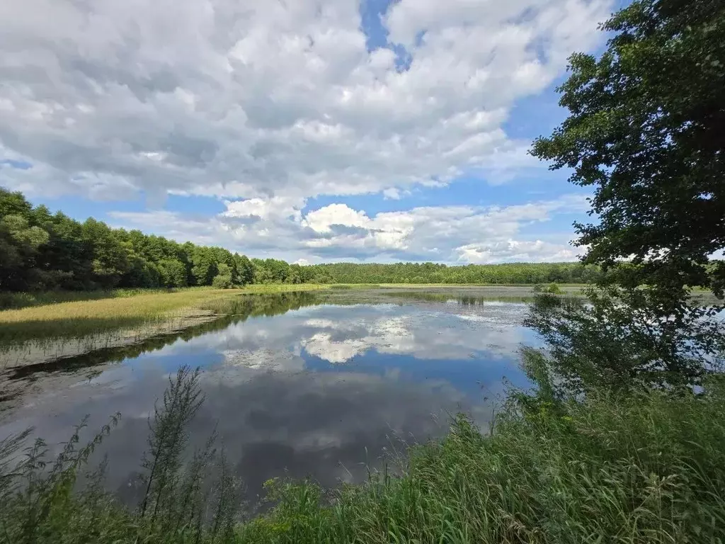 Участок в Калужская область, Дзержинский муниципальный округ, Барсуки ... - Фото 2