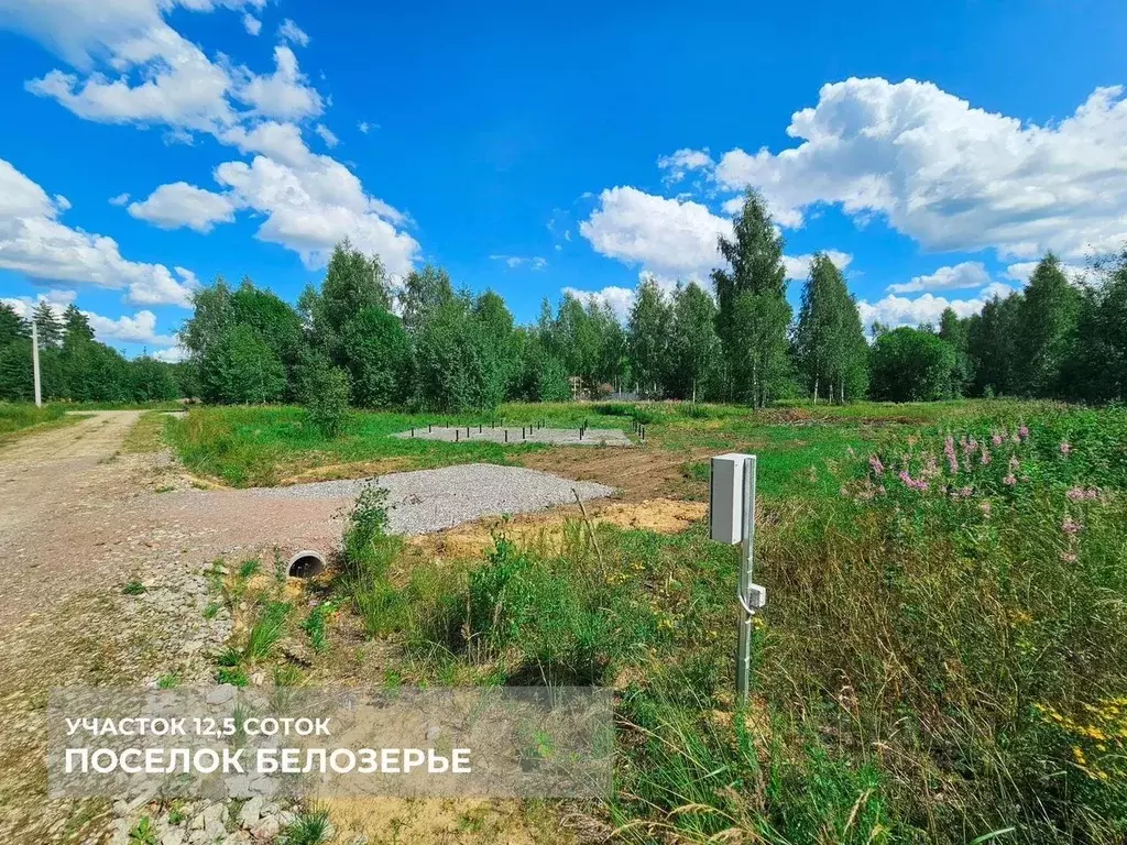 Участок в Ленинградская область, Тосненский район, Любанское городское ... - Фото 2