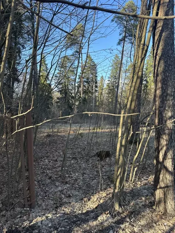 Участок в Санкт-Петербург пос. Парголово, Песочное ш., 12 (18.0 сот.) - Фото 0
