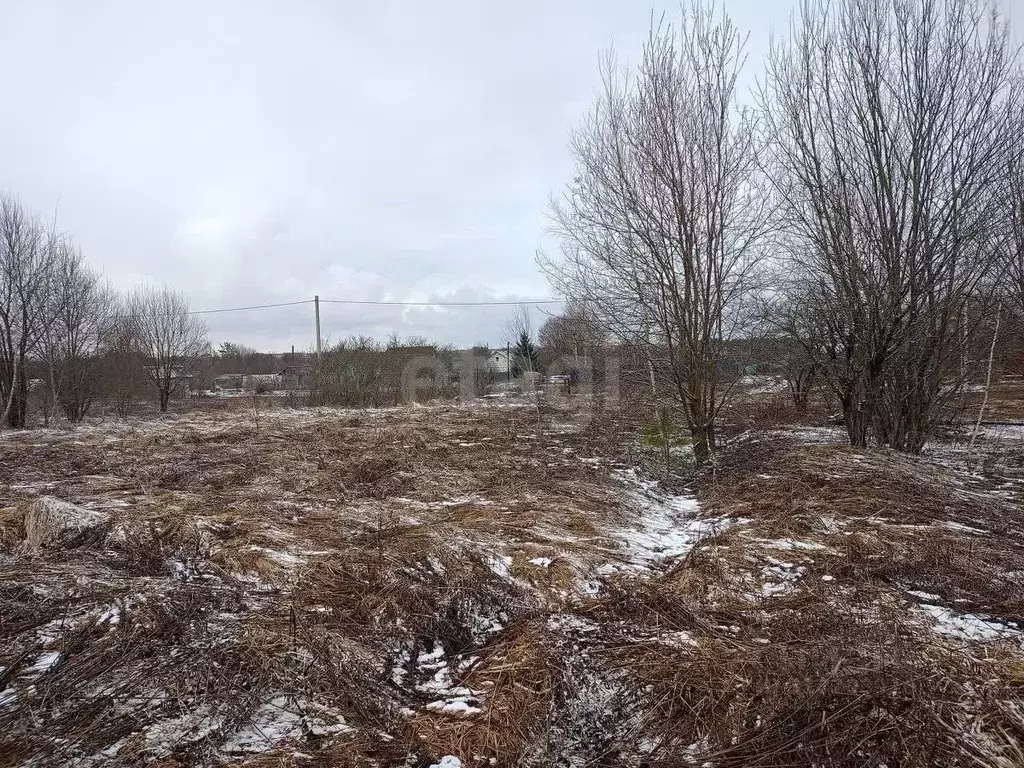 Участок в Брянская область, Навлинский район, Бяковское с/пос, пос. ... - Фото 1