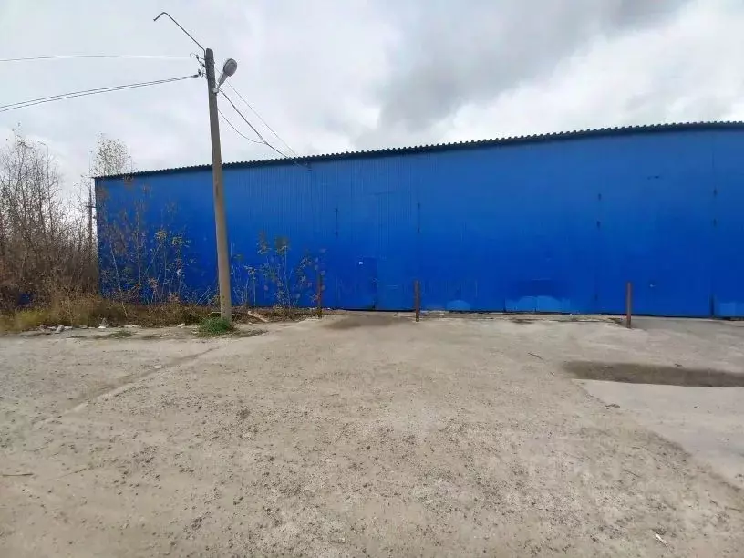 Склад в Нижегородская область, Нижний Новгород ул. Окская Гавань (1250 ... - Фото 1